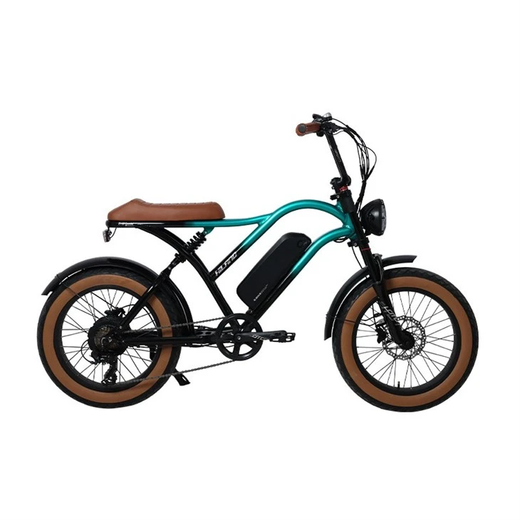 Rear Drive 48V 500W Alloy Suspension Fork Fat E-Bike